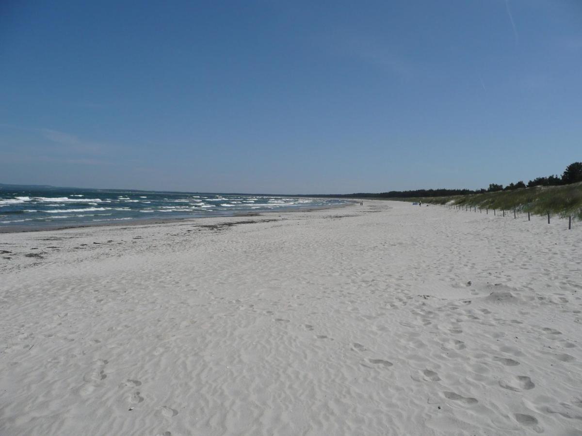 Ferienwohnung Mit Traumhaftem Meerblick - Haus Am Meer Fewo 02 洛米 外观 照片